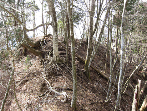 20190205hike (183)